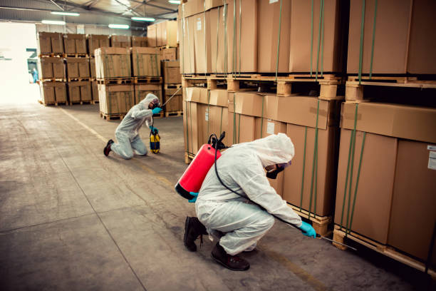 Best Wasp Removal Services  in Kinsley, KS