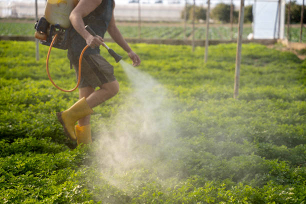 Reliable Kinsley, KS Pest Control Solutions