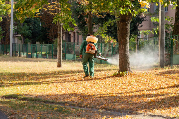 Pest Control Cost in Kinsley, KS