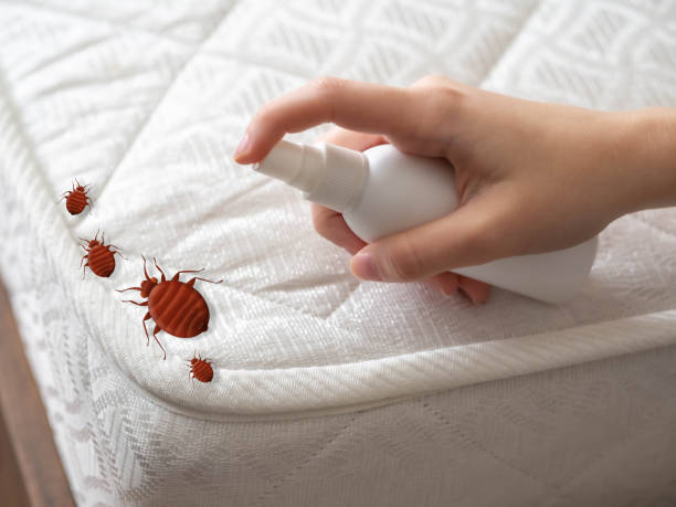Best Best Pest Control Near Me  in Kinsley, KS