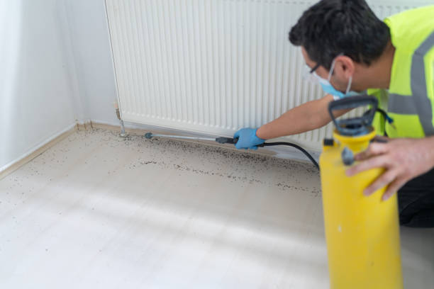 Best Best Pest Control Companies  in Kinsley, KS