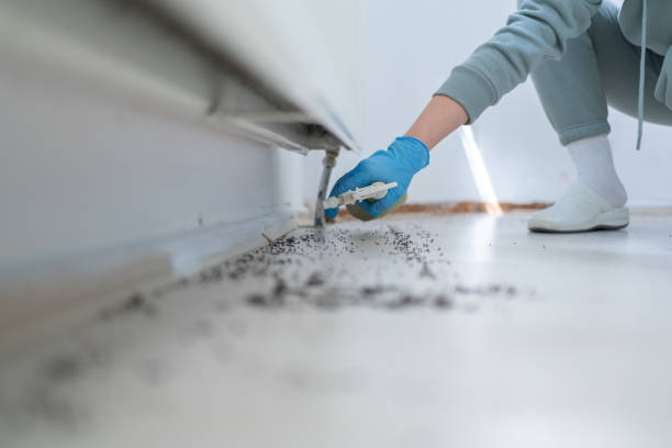 Best Mosquito Control Services  in Kinsley, KS