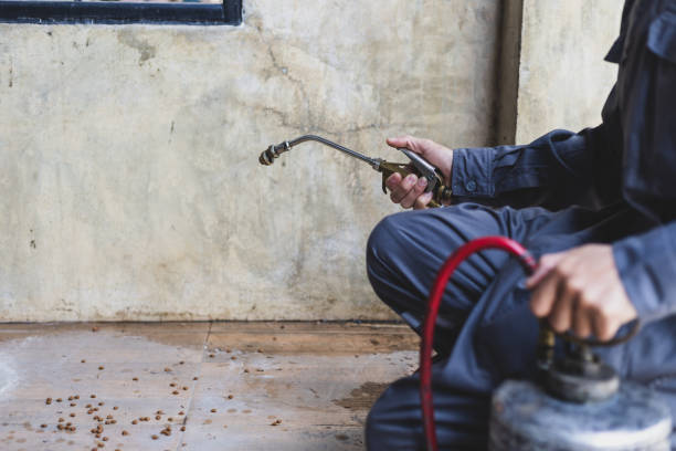Best Best Pest Control Companies  in Kinsley, KS