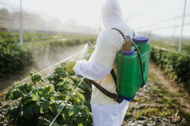Best Flea Control Services  in Kinsley, KS